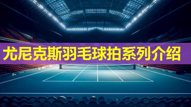 尤尼克斯羽毛球拍系列介绍